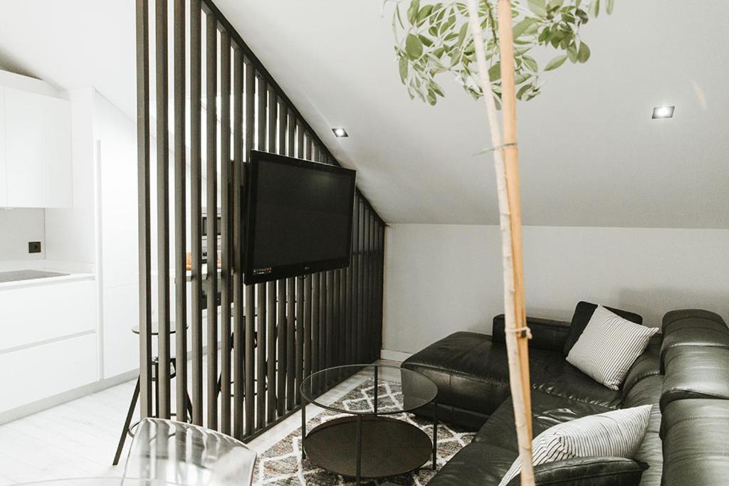 Mk77 - Atiko Apartment León